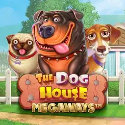 The Dog House Megaways gra w Champion Casino dla graczy z Polski