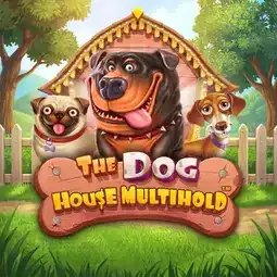 The Dog House Multihold gra w Champion Casino dla graczy z Polski